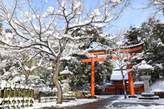 天龍寺霊庇廟