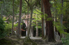 南禅寺の水路閣