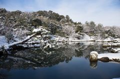 天龍寺曹源池