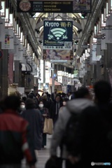 20240119-京都-05