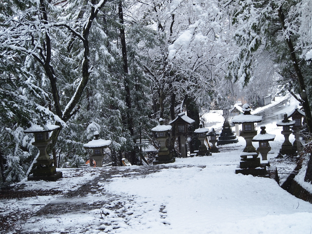 君の名の聖地日枝神社