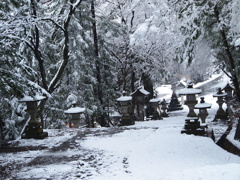 君の名の聖地日枝神社