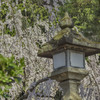 灯篭