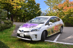 環境都市宣言