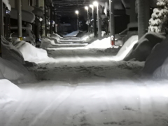 ドカ雪の夜