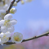 爽やか