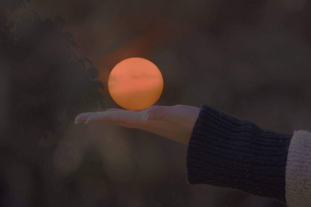 手の平に太陽を