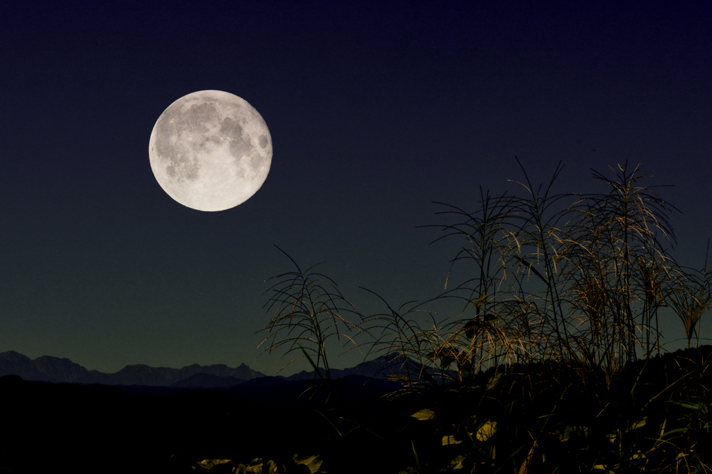 月明かりの夜 By バルサム Id 469 写真共有サイト Photohito