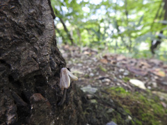 一人ぼっち