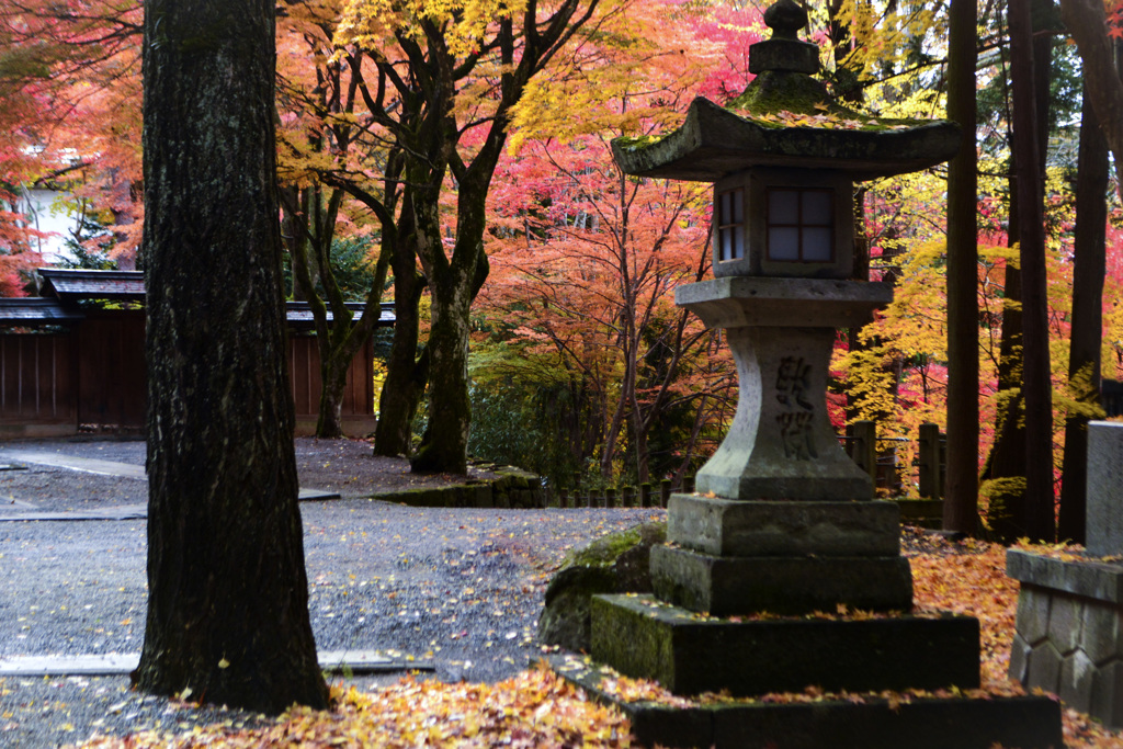 神社の見張り番