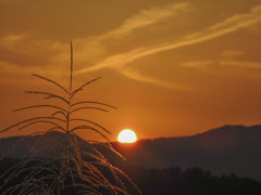 昨日の夕景