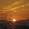 昨日の夕景