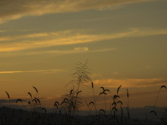 昨日の夕景