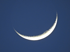 昨夜の月