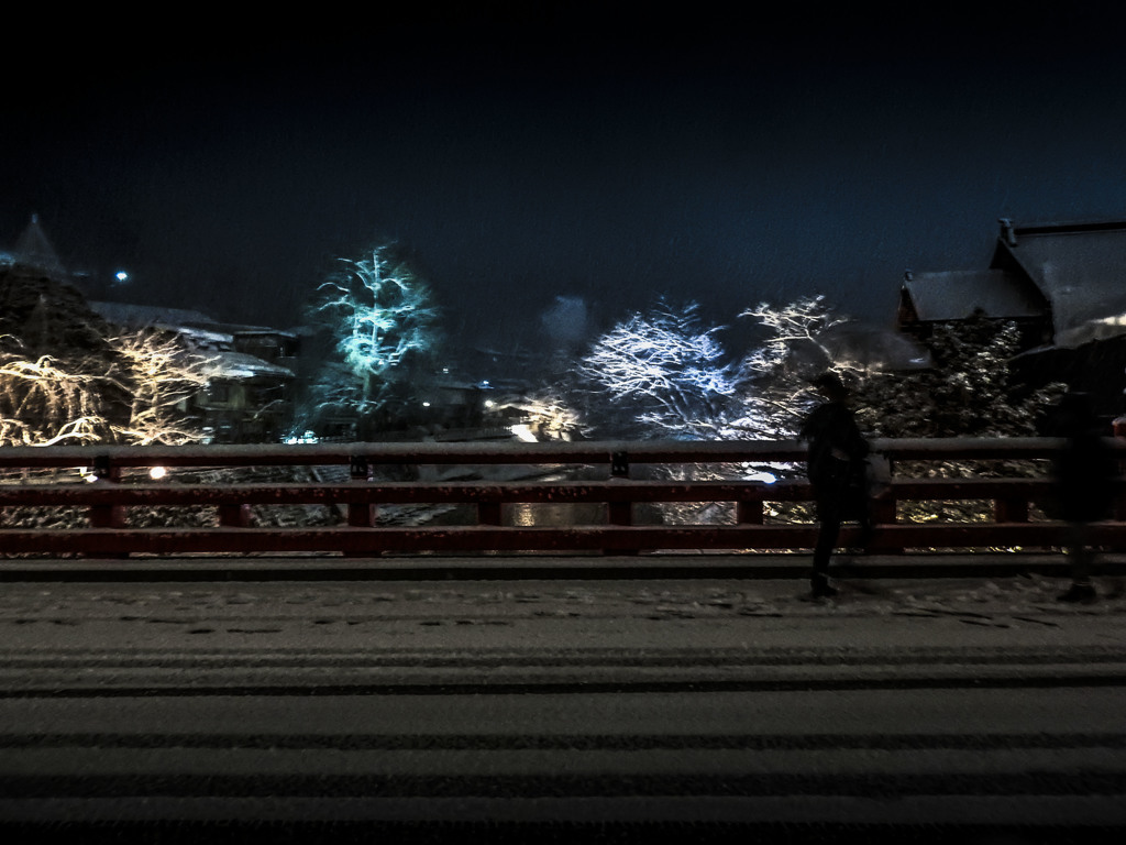 雪夜の散歩