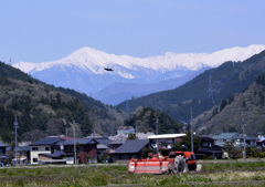 今年も頑張るぞ！！