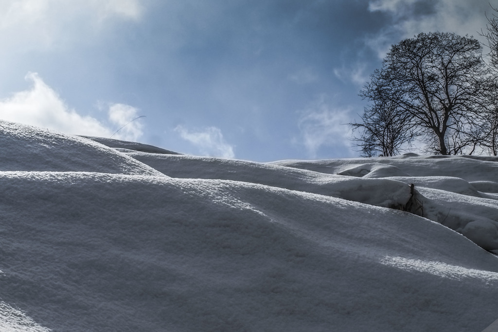 雪景色