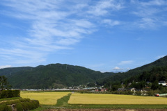 秋の空