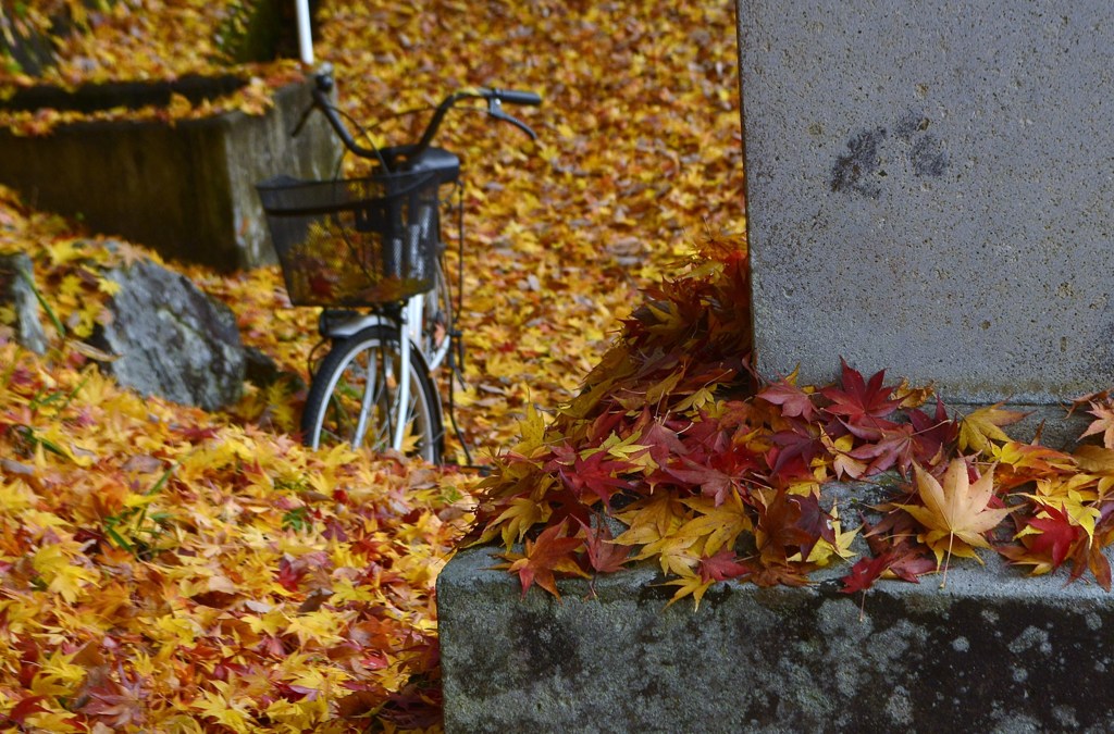 自転車