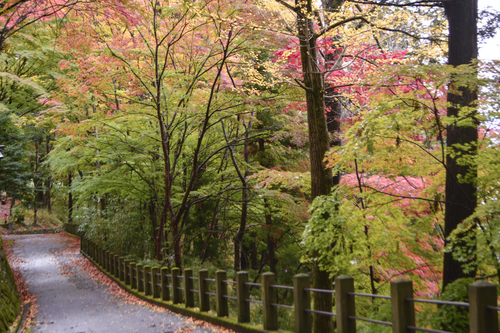 帰り道