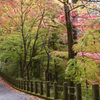 帰り道