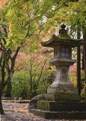 神社の秋