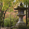 神社の秋