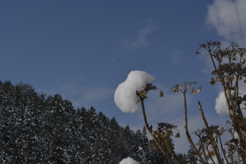 雪降りの後