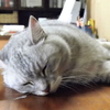 我が家の