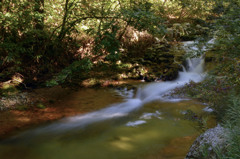 谷川の流れ