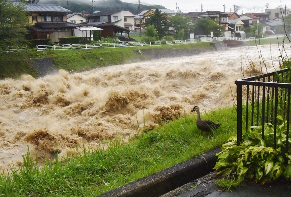 豪雨の後