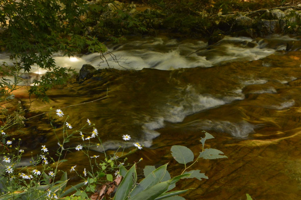 谷川の流れ　2