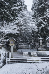雪の高山　日枝神社