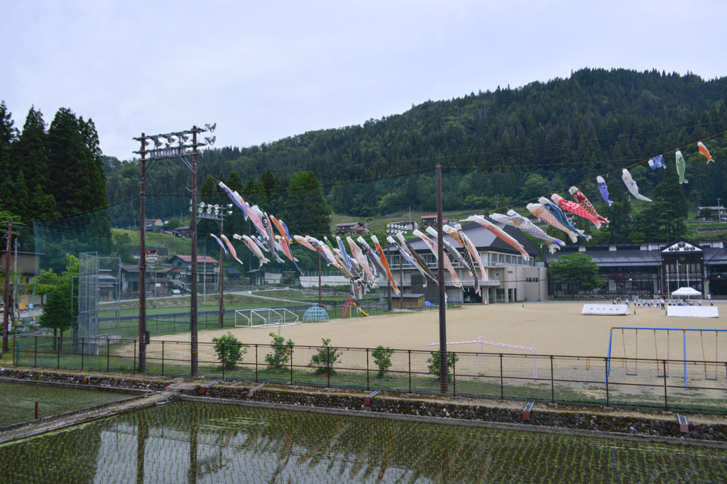 河合小学校　 こいのぼり運動会