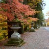 参道の彩り