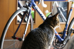 早く帰ってこないかなぁ