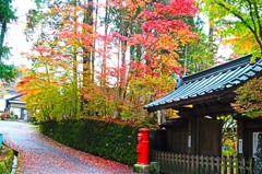 赤ポストと同じ色に変わりながら