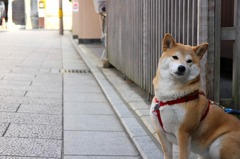 はいっ、チーズ。
