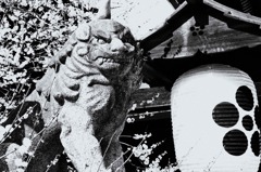 威圧