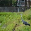 独りぼっち