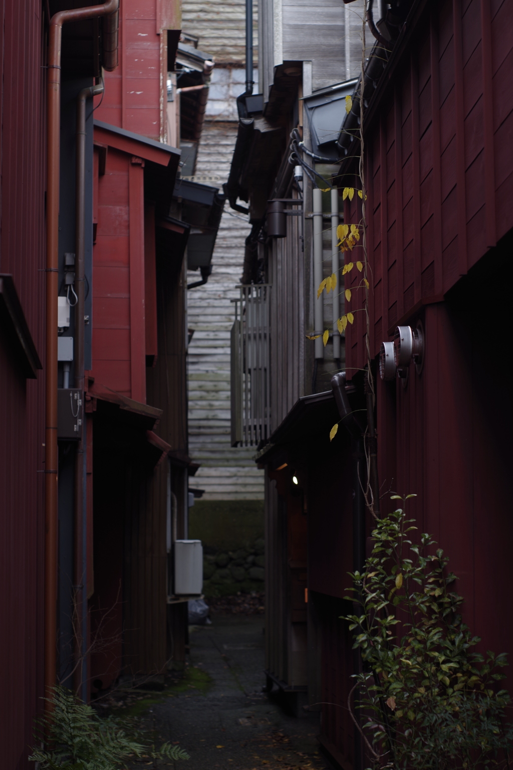 早朝散歩