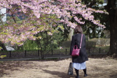 彼女と春の訪れ