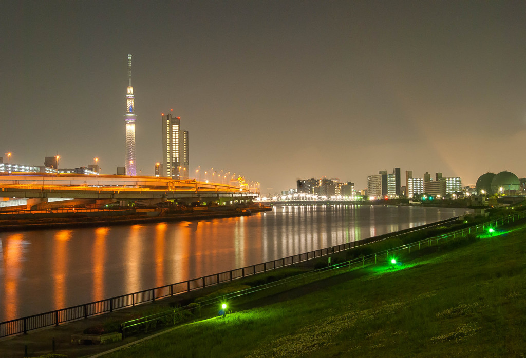 Skytree16