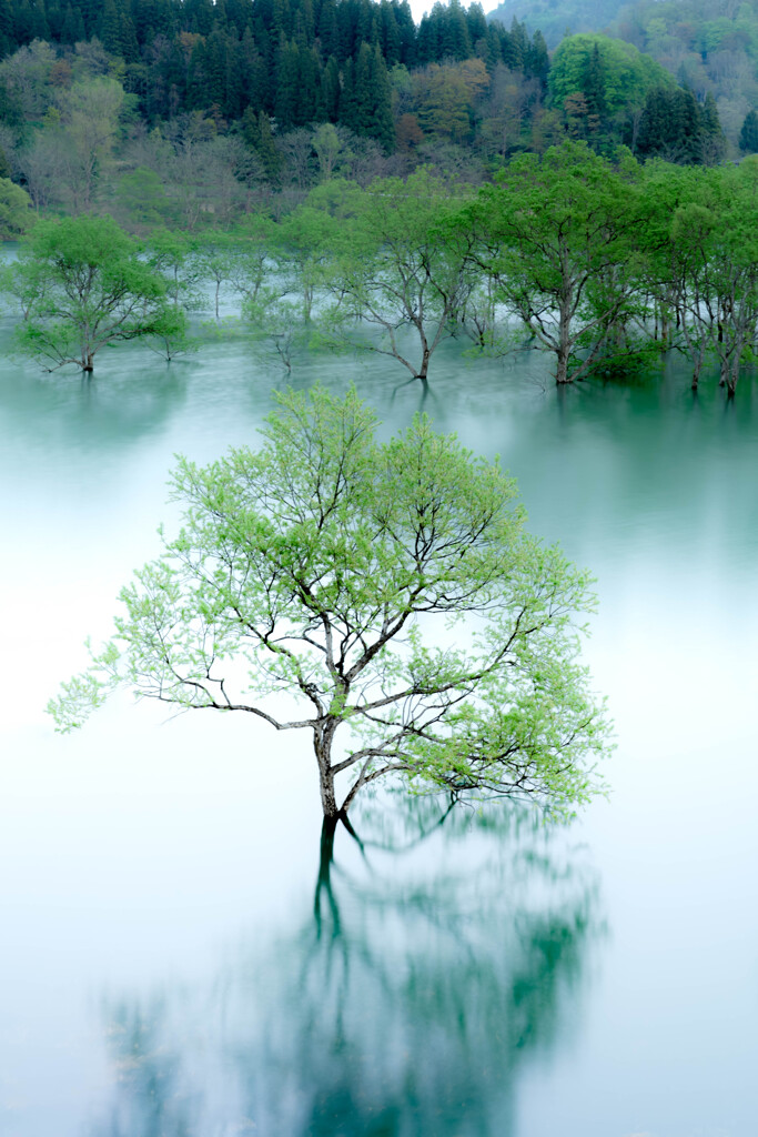 静寂