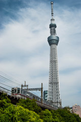 スカイツリー13