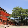 宇佐神宮