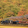 EOS 5D Mark IV2020110372231000