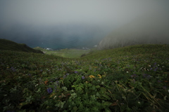 ガスってなければすごいところなんでしょうね