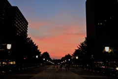 東京駅日曜