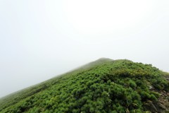 近くしかみえません
